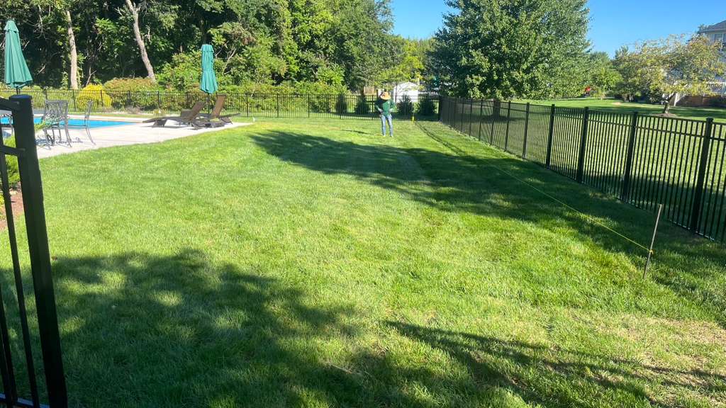 Fresh green lawn